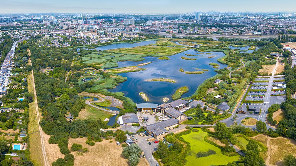 Wildfowl and Wetland Trust Created in 2000, the London Wetland Centre spans more than 100 acres of lakes, meadows, ponds and marshland (Credit: Wildfowl and Wetland Trust)